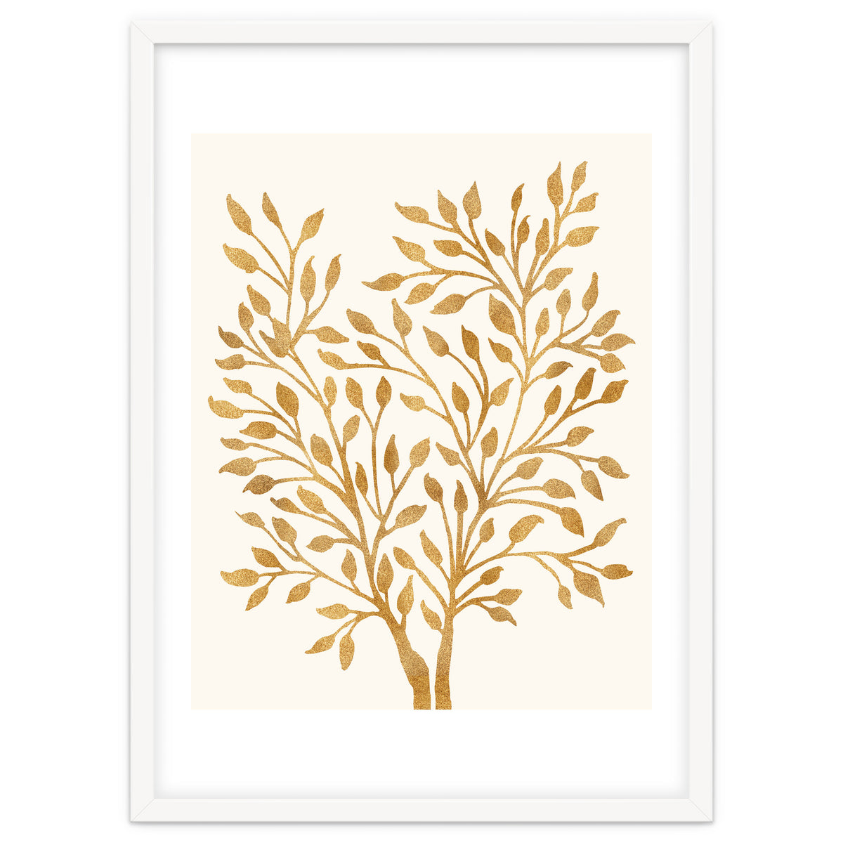 Golden Ficus 4x5