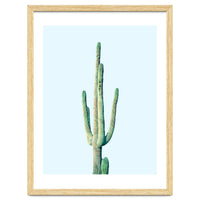 Loner Cactus