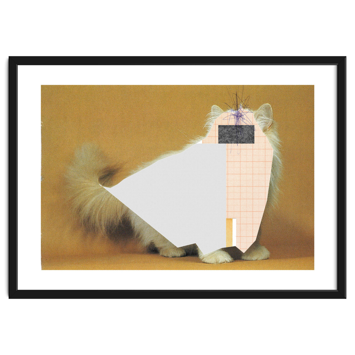 Content Of The Cat 1