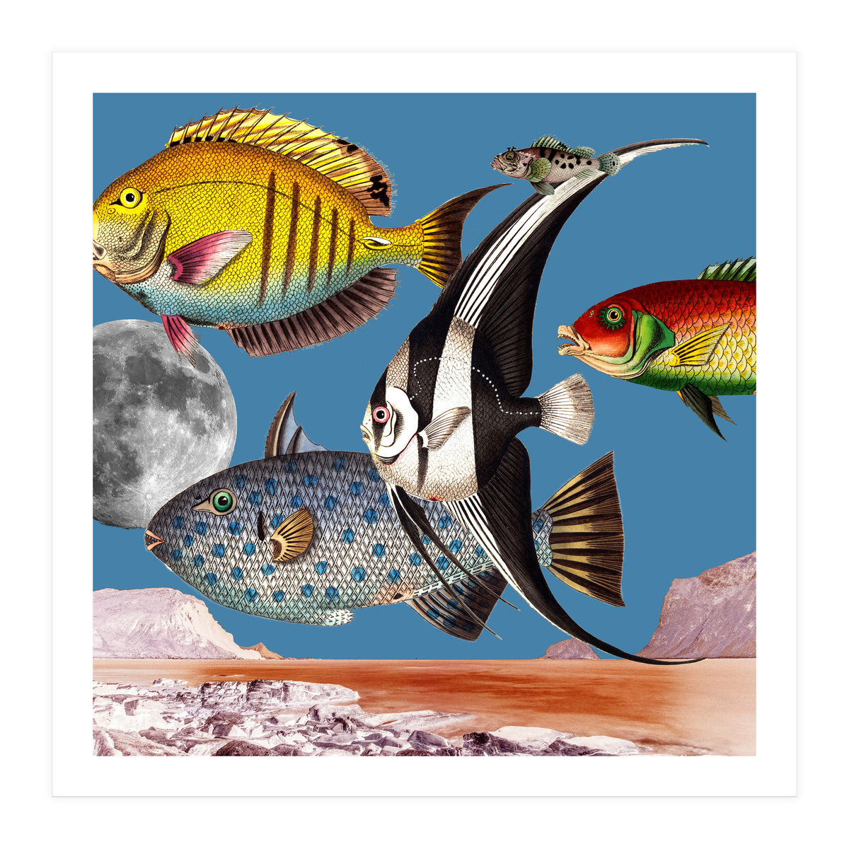 Fish World Blue (Print Only)