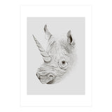 Rhinoplasty (Print Only) thumbnail