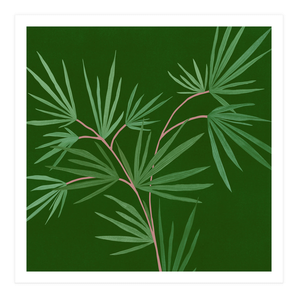 Abstract Palm (Print Only)