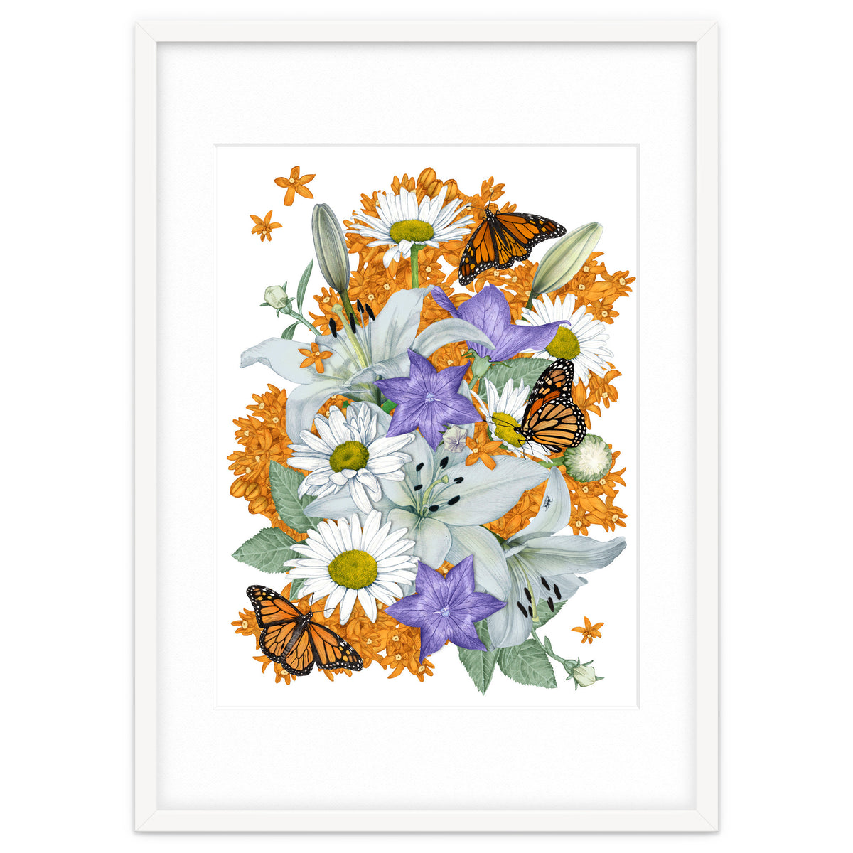 Lillies and Monarchs