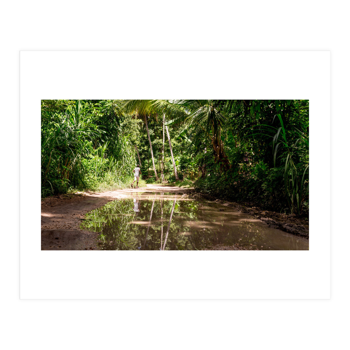 Haitian Bush (Print Only)