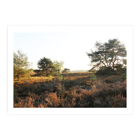Heath landscape (Print Only)