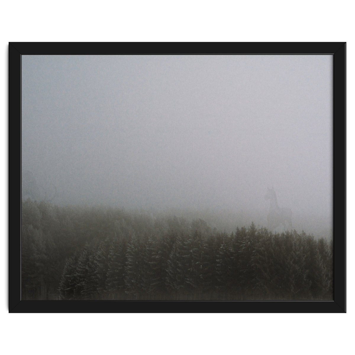 What the Hell did I just See?