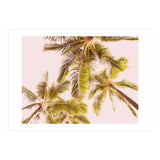 Blush Pink Boho Palm Trees (Print Only) thumbnail