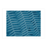Pteridopsida 3 (Print Only) thumbnail