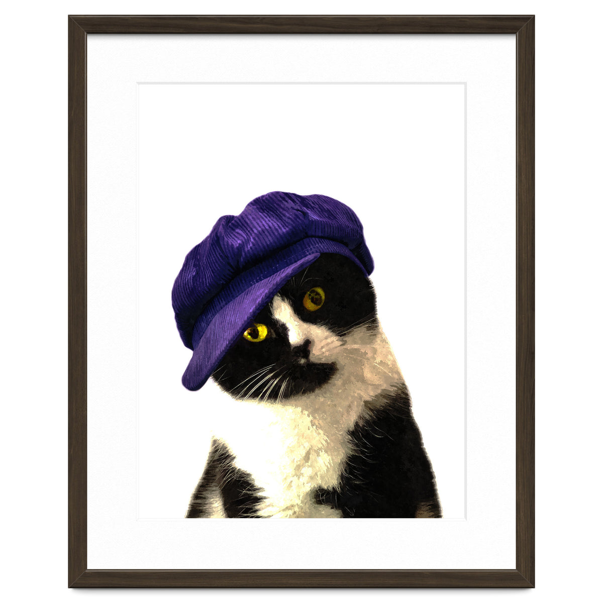 Cat Blue Hat