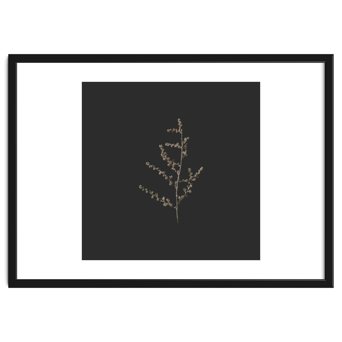 Dainty Botanicals in Gold and Black - Square