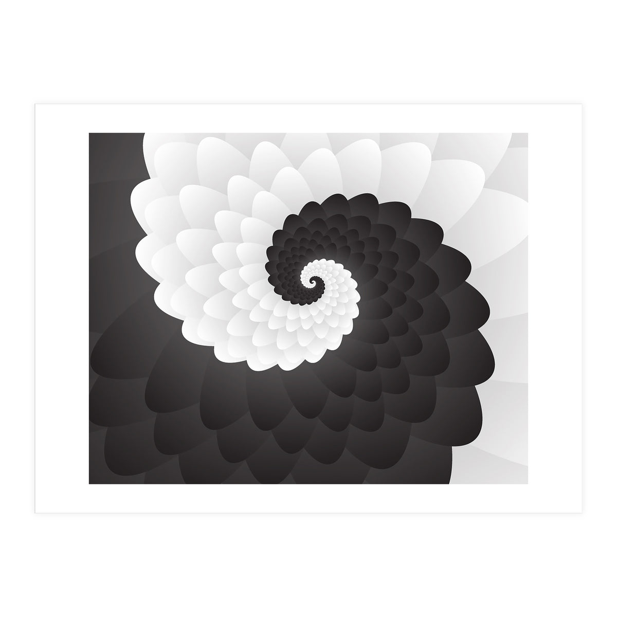 Mono Chrome Spiral Pattern  (Print Only)