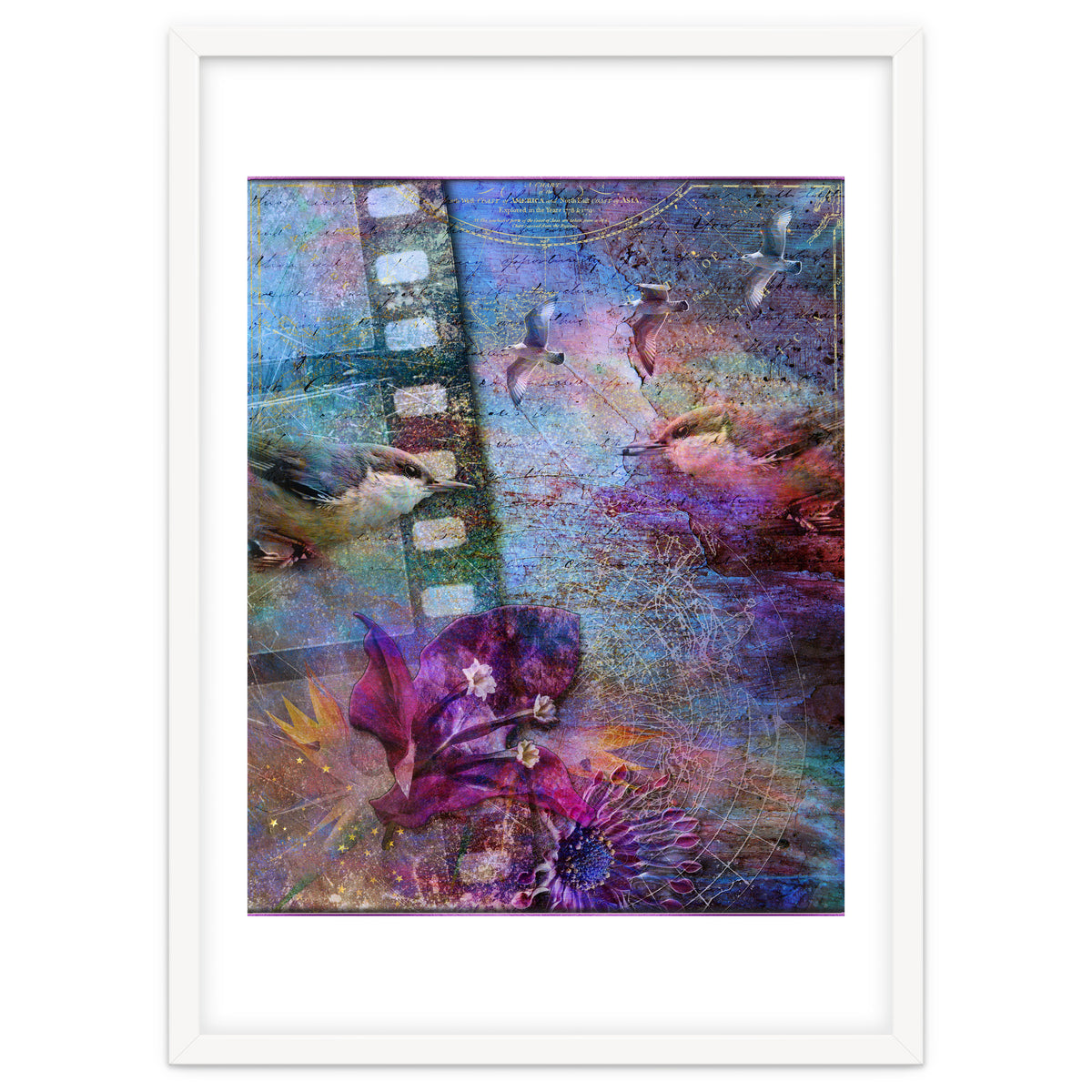 Watching the Wild World