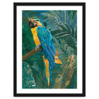 Macaw Meditation in the tropical jungle