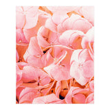 Blushing (Print Only) thumbnail