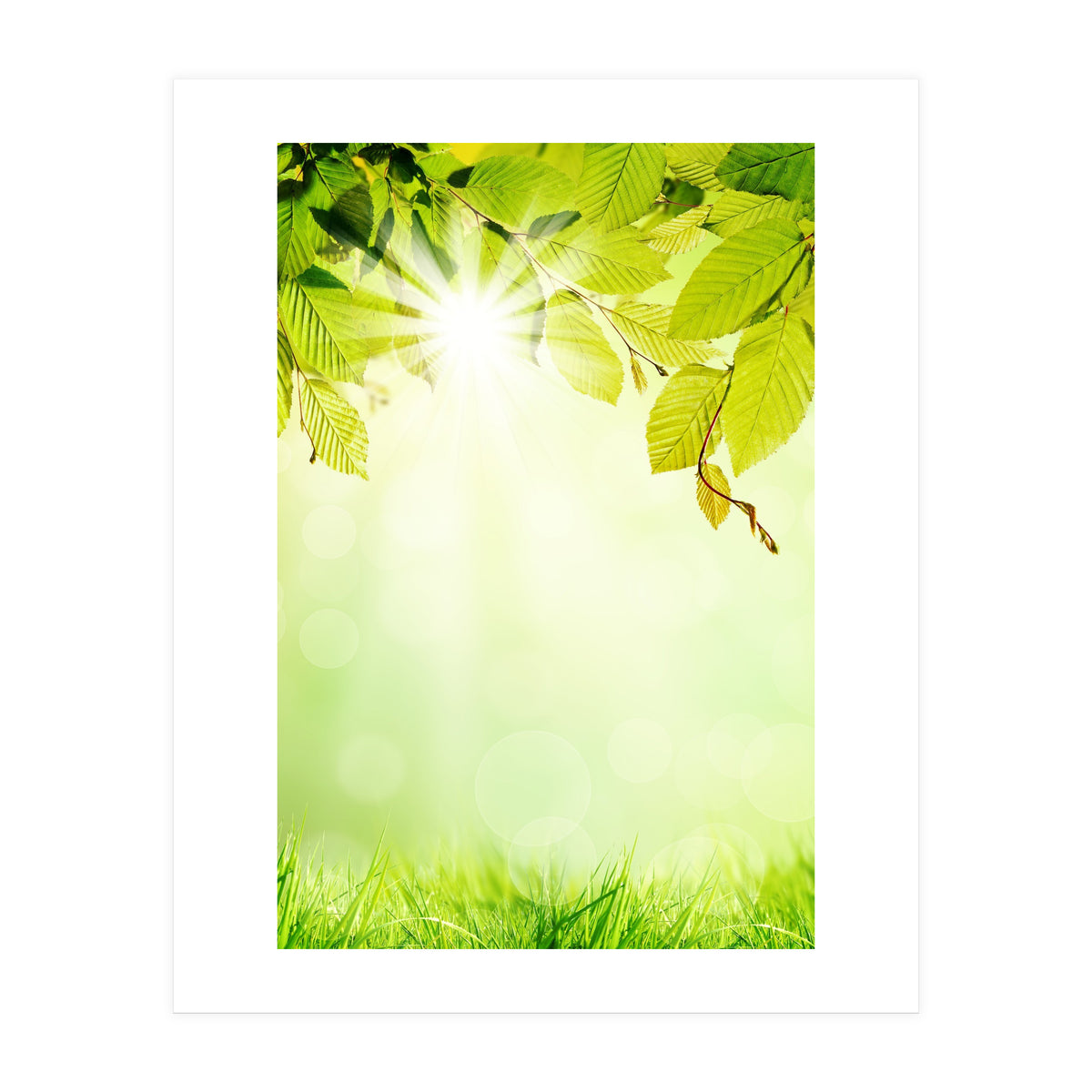 GREEN NATURE (Print Only)