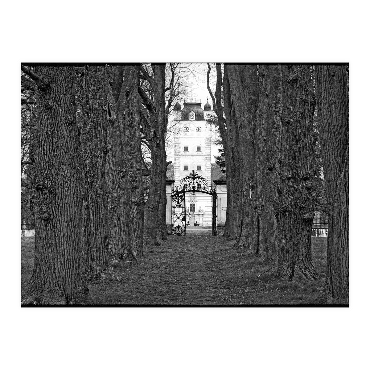 Old alley (Print Only)