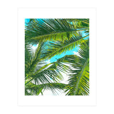 Life Is Better With Palm Trees (Print Only) thumbnail