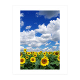 Nature (Print Only) thumbnail