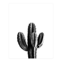 Cactus Black And White 03 (Print Only)