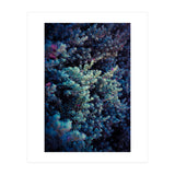 Spring (Print Only) thumbnail