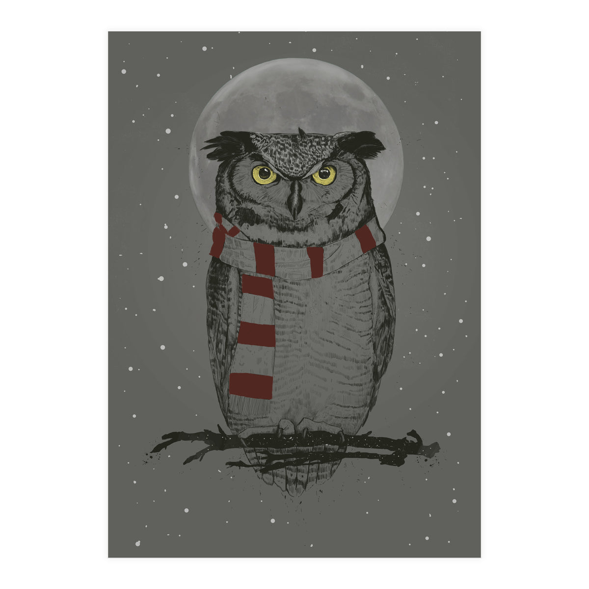 Winter Owl (Print Only)