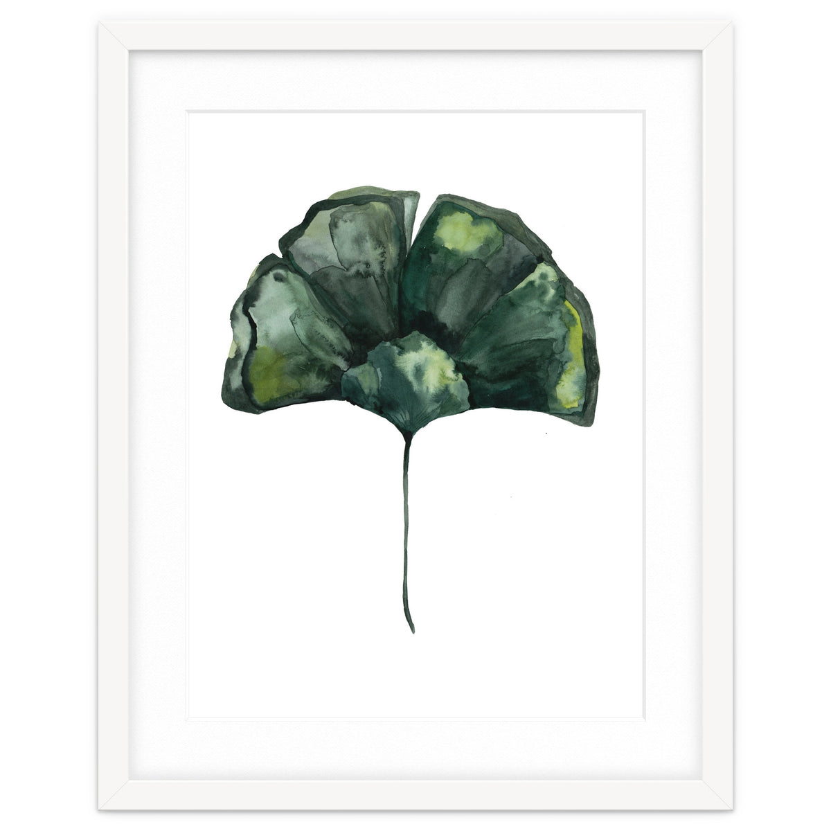 Botanical Illustration Ginko