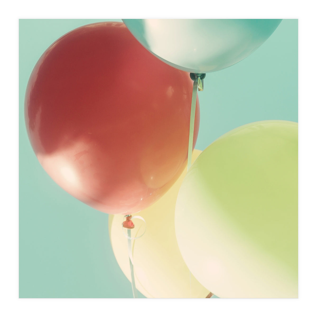 So Much Fun (Print Only)