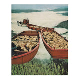 Fleece (Print Only) thumbnail