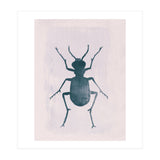 Beetle 1 (Print Only) thumbnail