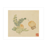 Wang Chengpi ~flowers And Vegetables, Vegetables, Fruits, Epiphyllum, Pears, Peppers (Print Only) thumbnail