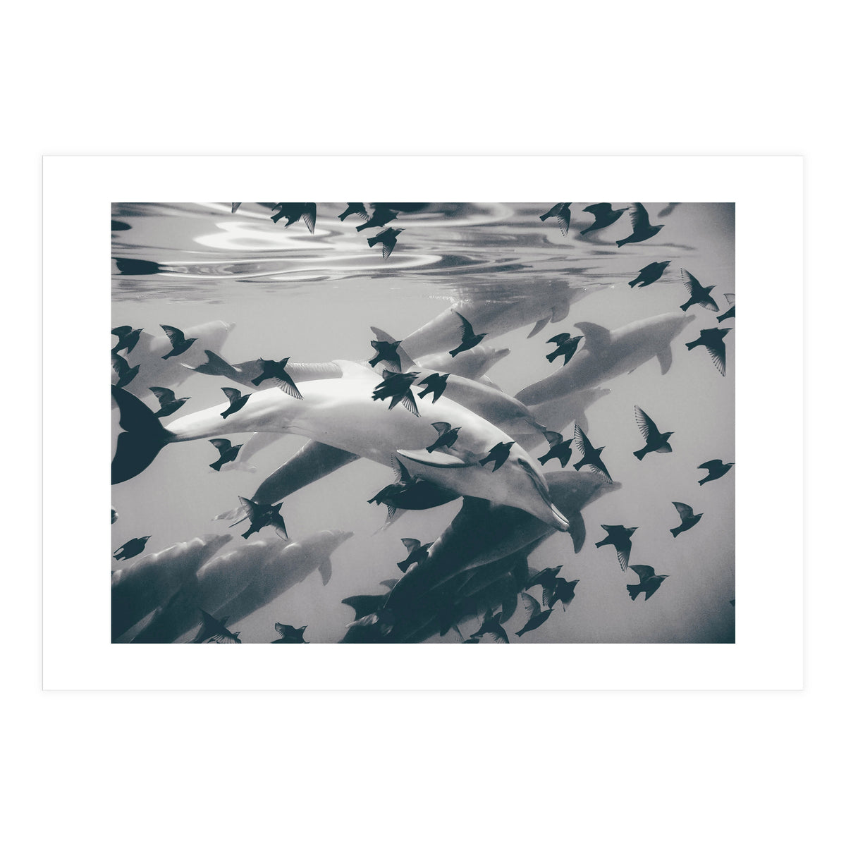 Found Out (Print Only)