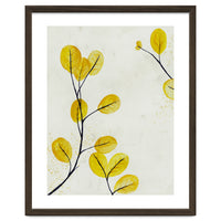 Golden birch leaves