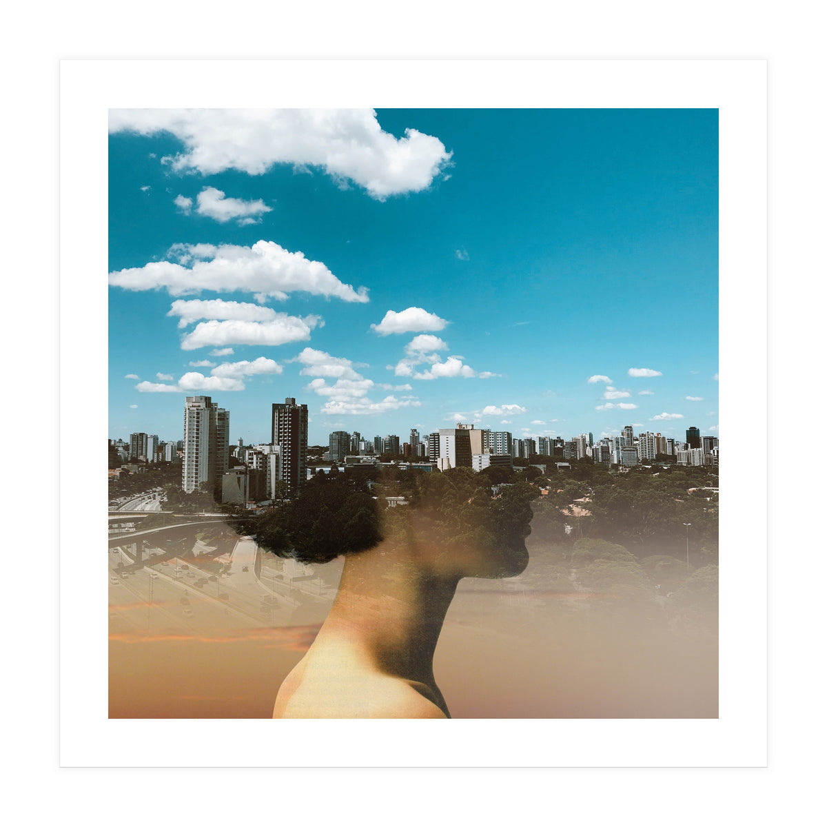 Dream Division 15 (Print Only)