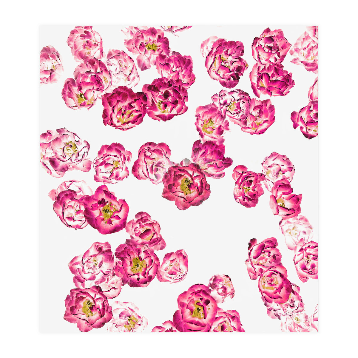 Pink Heaven (Print Only)