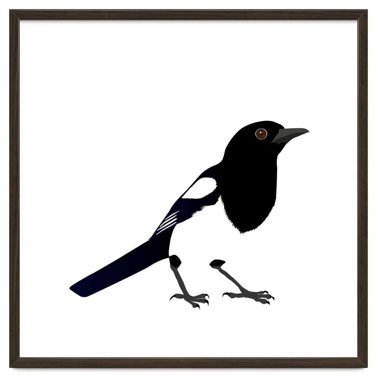 Magpie