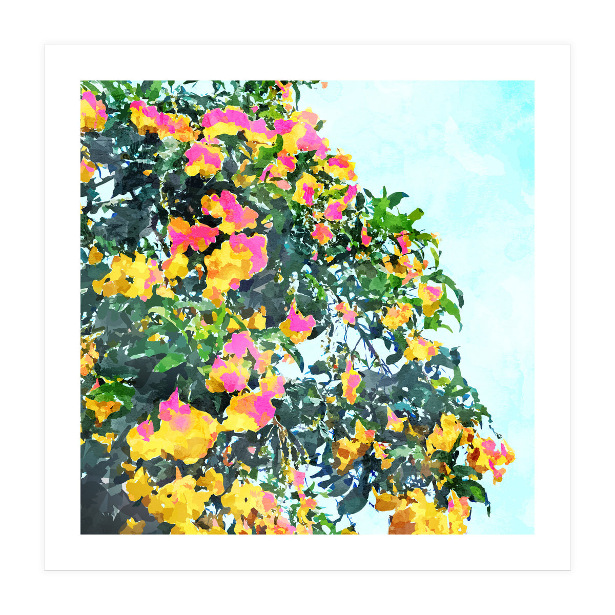 Summer Bougainvillea Watercolor Painting (Print Only)