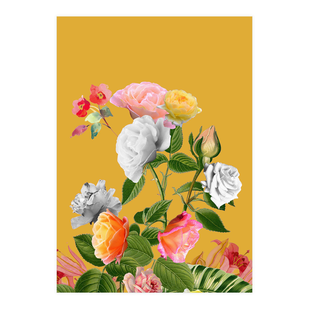 Floral Pop (Print Only)