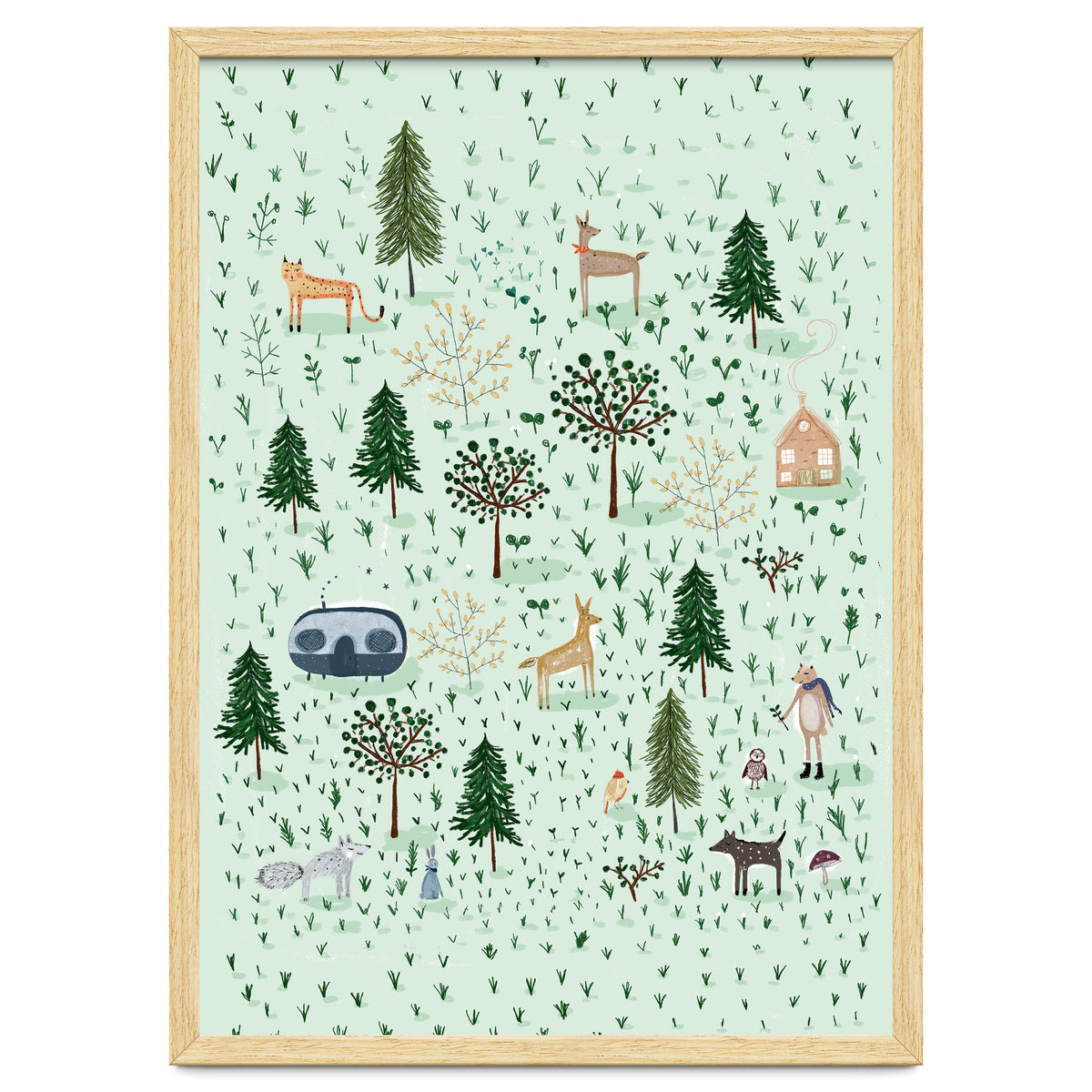 Tiny Forest