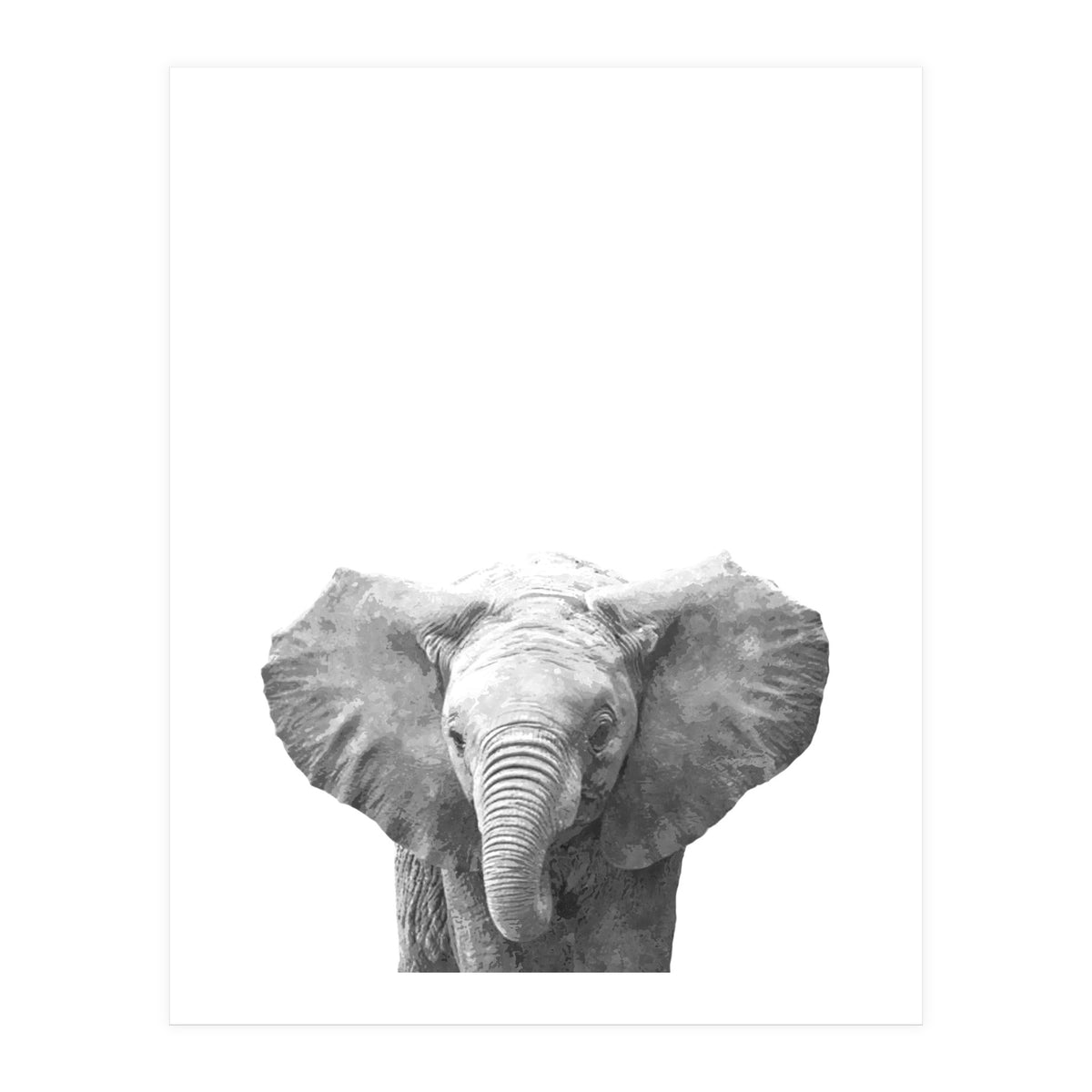 Black and White Baby Elephant  (Print Only)