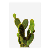 77 (Print Only) thumbnail
