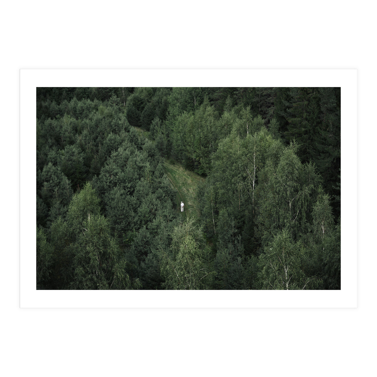 What's the Date Today? (Print Only)