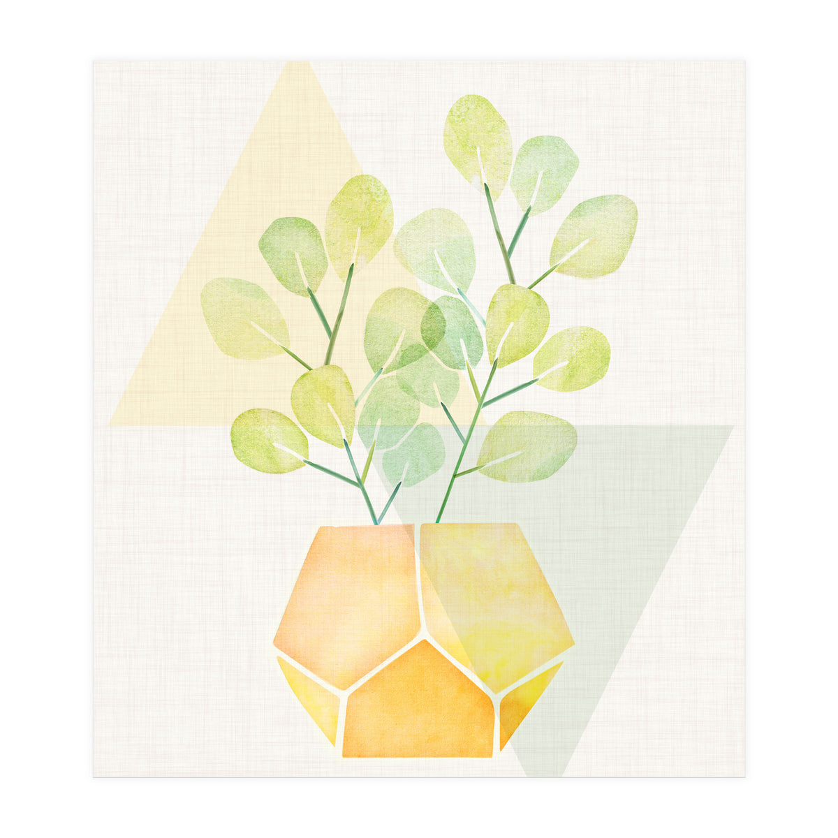 Geometry and House Plant (Print Only)