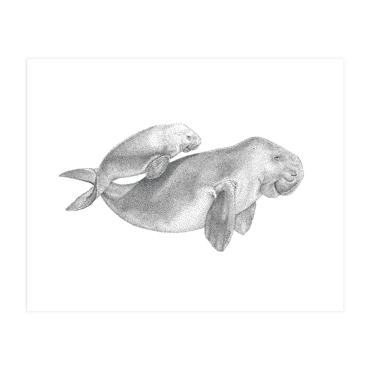 Dugongs no. 1 (Print Only)