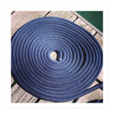 Blue rope coil (Print Only) thumbnail