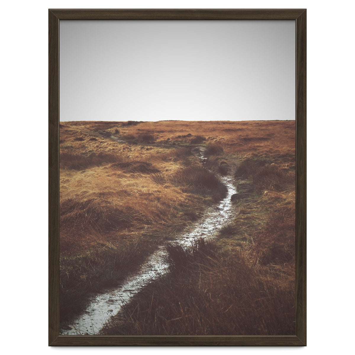 Bleak winter landscape of Saddleworth Moor
