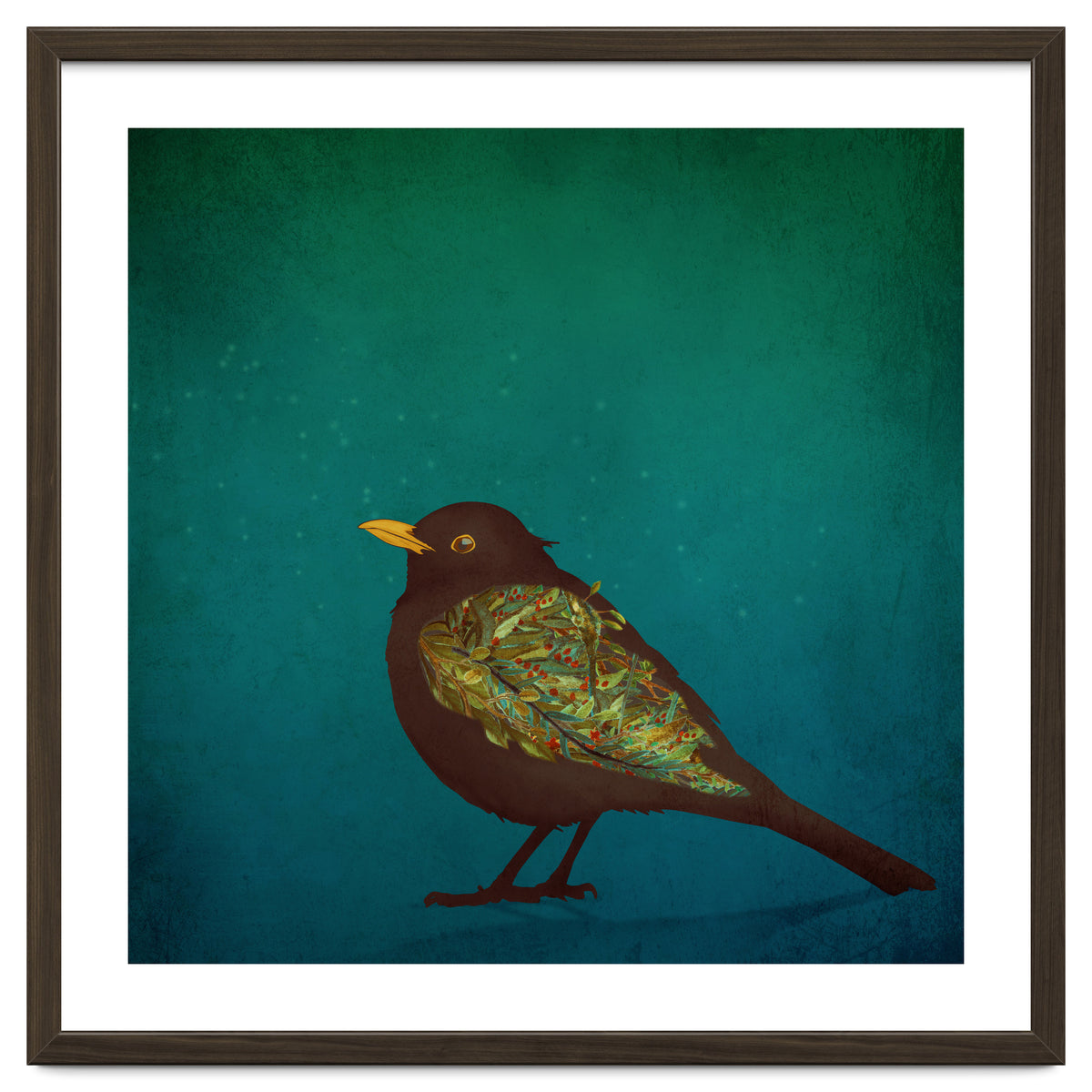 Camouflage: The Blackbird