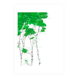 Birch forest (Print Only) thumbnail