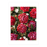 Blossom Love (Print Only) thumbnail