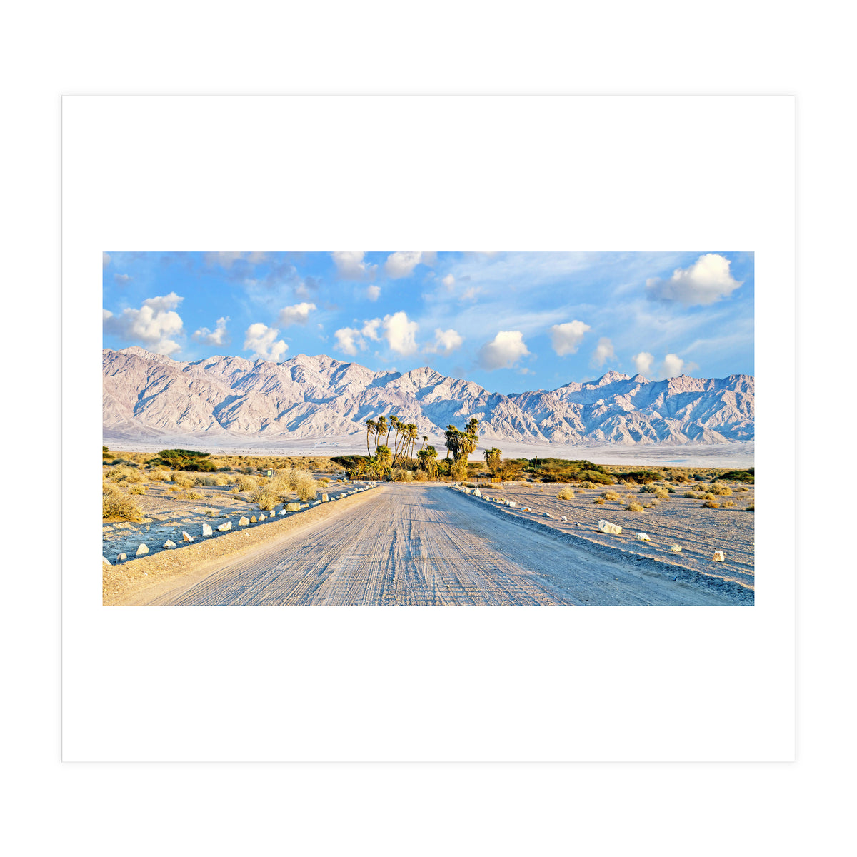 Summer Scenic (Print Only)