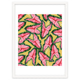 Caladium, Botanical Tropical Nature Plants, Vintage Bohemian Exotic Blush Leaves thumbnail